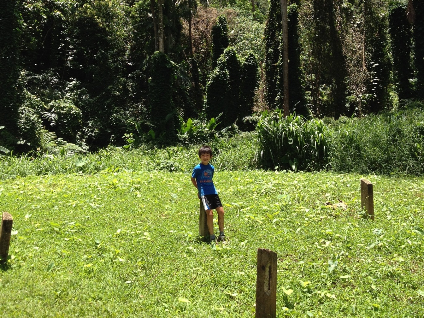 Child standing in a lush green valley with tropical trees and mountains